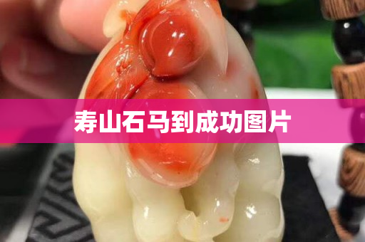 壽山石馬到成功圖片 壽山石馬到成功圖片