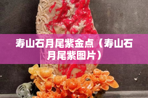 壽山石月尾紫金點(壽山石月尾紫圖片) 壽山石月尾紫金點(壽山石月尾紫圖片)