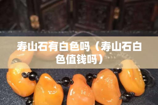 壽山石有白色嗎（壽山石白色值錢嗎）