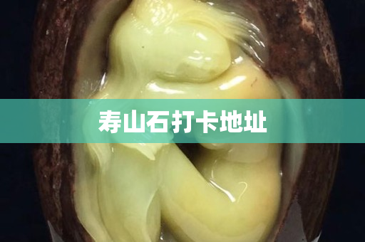 壽山石打卡地址 壽山石打卡地址