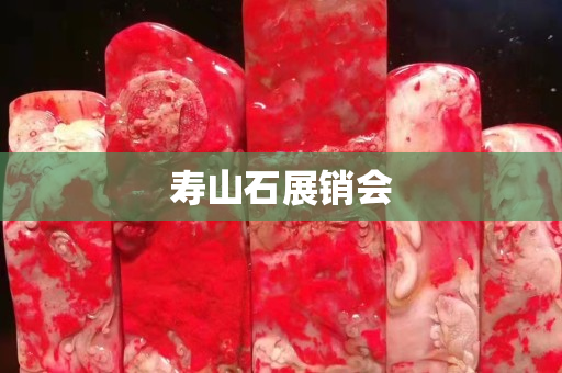 壽山石展銷會 壽山石展銷會