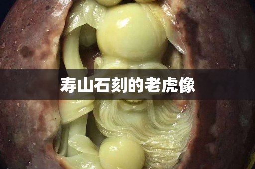 壽山石刻的老虎像 壽山石刻的老虎像