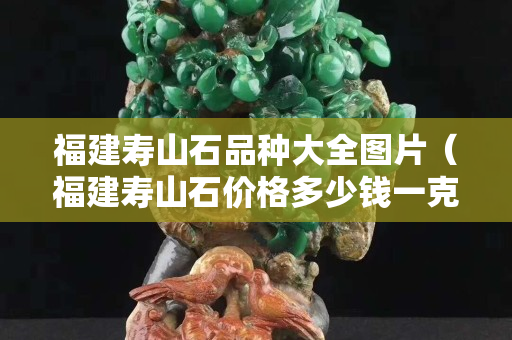 福建壽山石品種大全圖片（福建壽山石價格多少錢一克）