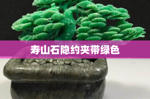 壽山石隱約夾帶綠色 壽山石隱約夾帶綠色