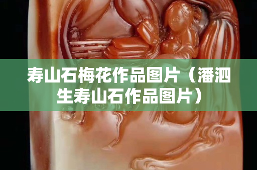 壽山石梅花作品圖片（潘泗生壽山石作品圖片）