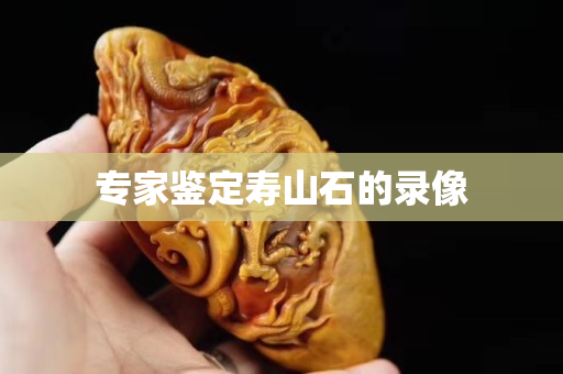 專家鑒定壽山石的錄像