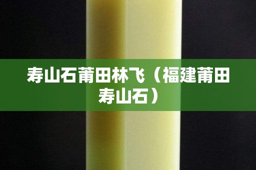 壽山石莆田林飛（福建莆田壽山石）