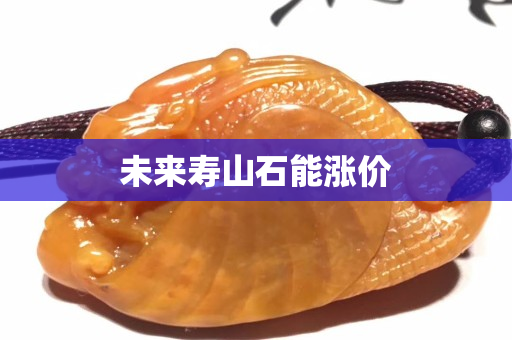 未來壽山石能漲價