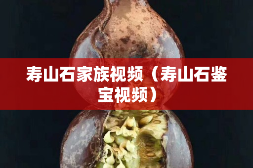壽山石家族視頻（壽山石鑒寶視頻）