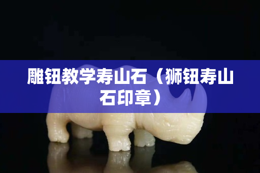 雕鈕教學壽山石（獅鈕壽山石印章）