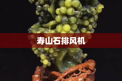 壽山石排風(fēng)機(jī) 壽山石排風(fēng)機(jī)