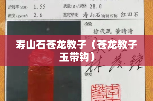 壽山石蒼龍教子(蒼龍教子玉帶鉤) 壽山石蒼龍教子(蒼龍教子玉帶鉤)