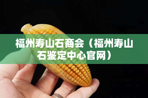 福州壽山石商會(福州壽山石鑒定中心官網) 福州壽山石商會(福州壽山石鑒定中心官網)