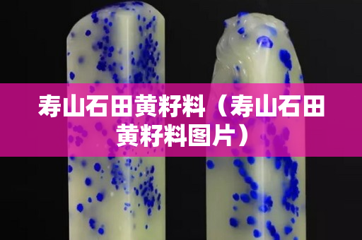壽山石田黃籽料（壽山石田黃籽料圖片）