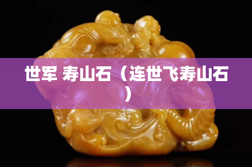 世軍 壽山石(連世飛壽山石) 世軍 壽山石(連世飛壽山石)