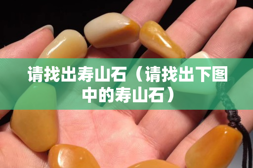 請找出壽山石（請找出下圖中的壽山石）