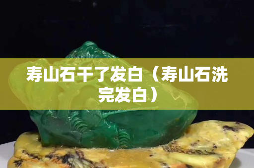 壽山石干了發白(壽山石洗完發白) 壽山石干了發白(壽山石洗完發白)