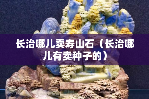 長治哪兒賣壽山石(長治哪兒有賣種子的) 長治哪兒賣壽山石(長治哪兒有賣種子的)