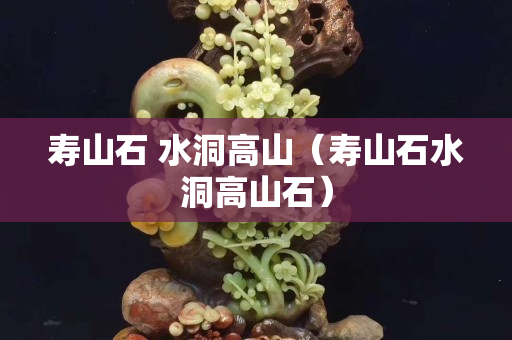 壽山石 水洞高山（壽山石水洞高山石）