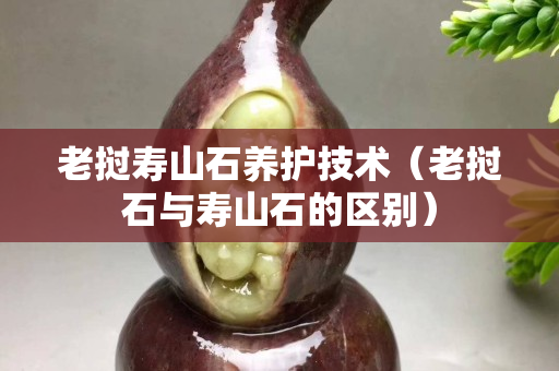 老撾壽山石養護技術（老撾石與壽山石的區別）