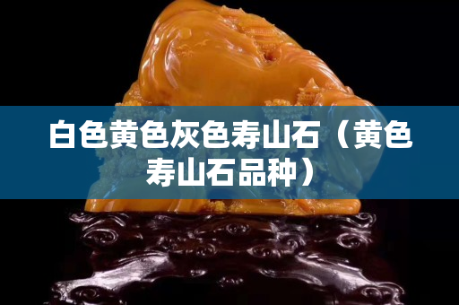 白色黃色灰色壽山石（黃色壽山石品種）