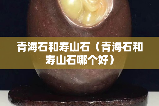 青海石和壽山石(青海石和壽山石哪個好) 青海石和壽山石(青海石和壽山石哪個好)
