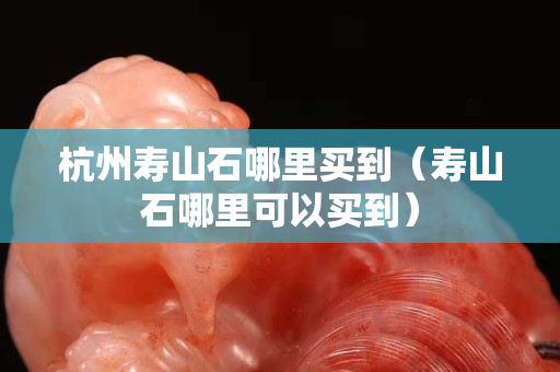 杭州壽山石哪里買到（壽山石哪里可以買到）