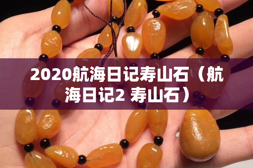 2020航海日記壽山石（航海日記2 壽山石）
