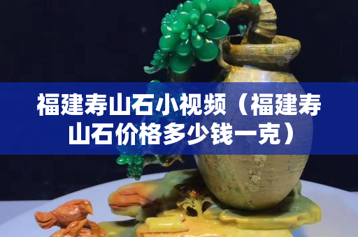 福建壽山石小視頻(福建壽山石價格多少錢一克) 福建壽山石小視頻(福建壽山石價格多少錢一克)