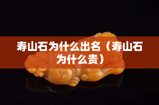 壽山石為什么出名（壽山石為什么貴）