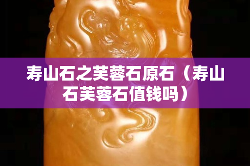 壽山石之芙蓉石原石（壽山石芙蓉石值錢嗎）