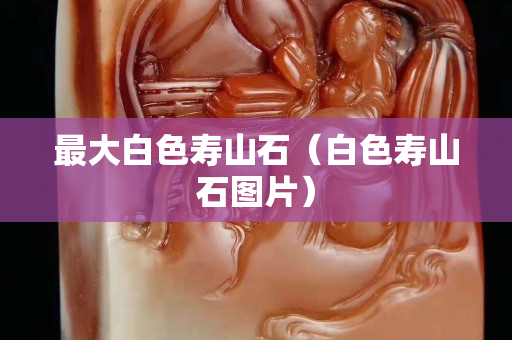 最大白色壽山石(白色壽山石圖片) 最大白色壽山石(白色壽山石圖片)