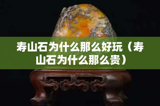 壽山石為什么那么好玩（壽山石為什么那么貴）