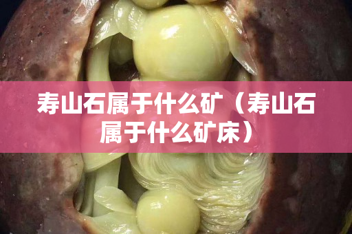 壽山石屬于什么礦(壽山石屬于什么礦床) 壽山石屬于什么礦(壽山石屬于什么礦床)