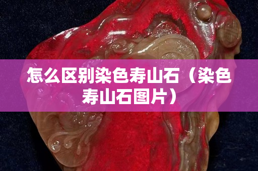 怎么區(qū)別染色壽山石(染色壽山石圖片) 怎么區(qū)別染色壽山石(染色壽山石圖片)