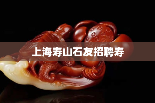 上海壽山石友招聘壽 上海壽山石友招聘壽