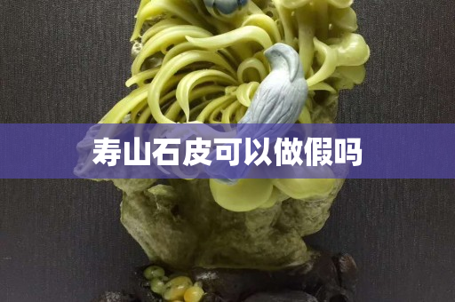 壽山石皮可以做假嗎
