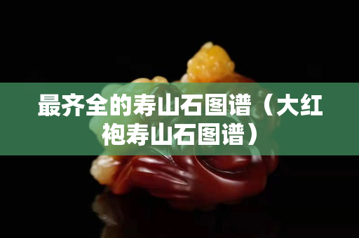 最齊全的壽山石圖譜（大紅袍壽山石圖譜）