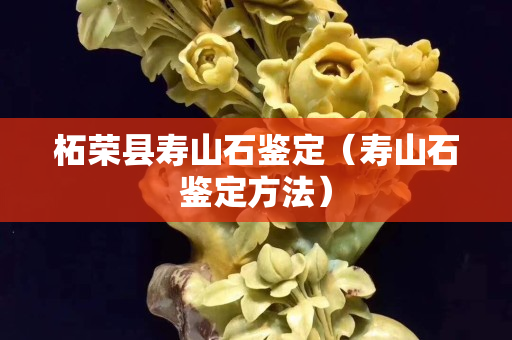 柘榮縣壽山石鑒定（壽山石鑒定方法）