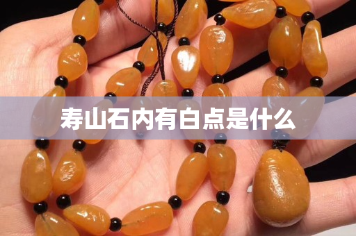 壽山石內有白點是什么