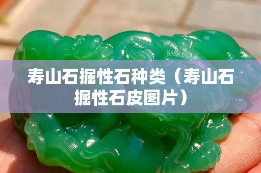 壽山石掘性石種類（壽山石掘性石皮圖片）