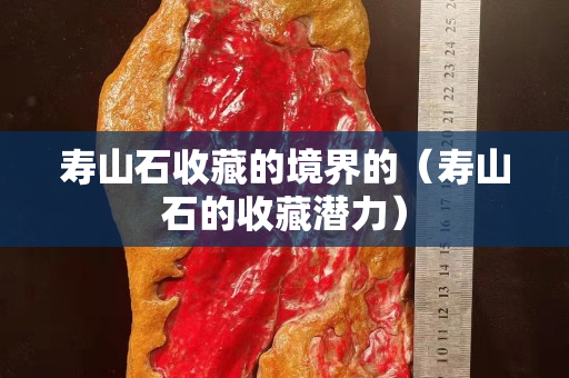 壽山石收藏的境界的（壽山石的收藏潛力）