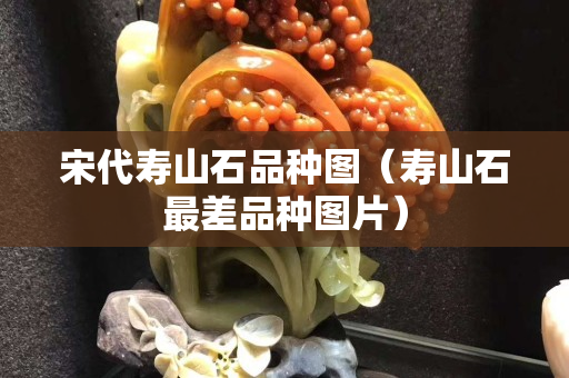 宋代壽山石品種圖（壽山石最差品種圖片）