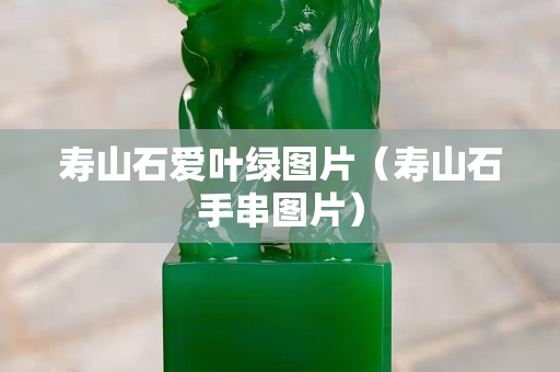 壽山石愛葉綠圖片（壽山石手串圖片）