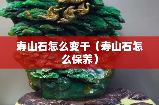 壽山石怎么變干（壽山石怎么保養）