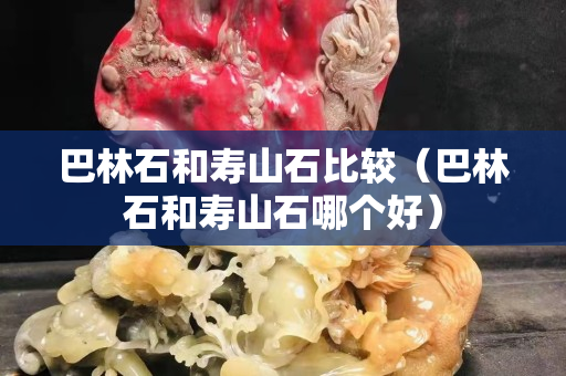 巴林石和壽山石比較（巴林石和壽山石哪個好）