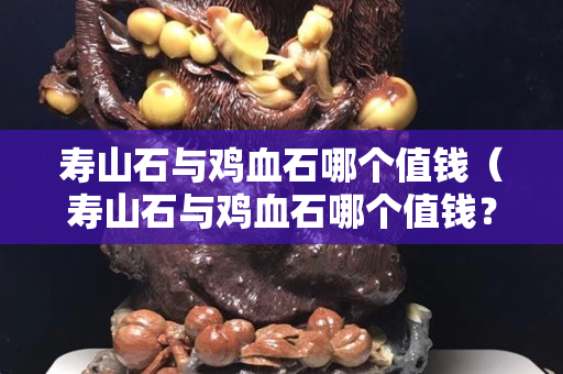 壽山石與雞血石哪個值錢（壽山石與雞血石哪個值錢？）