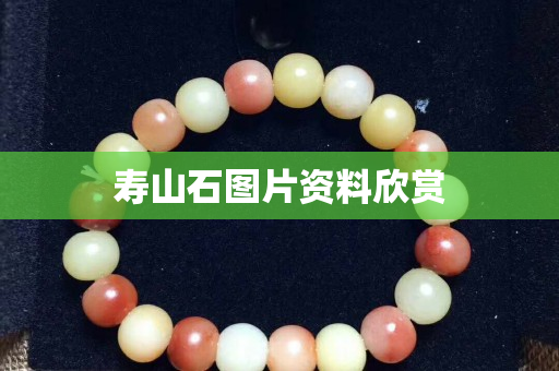 壽山石圖片資料欣賞