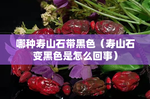 哪種壽山石帶黑色（壽山石變黑色是怎么回事）