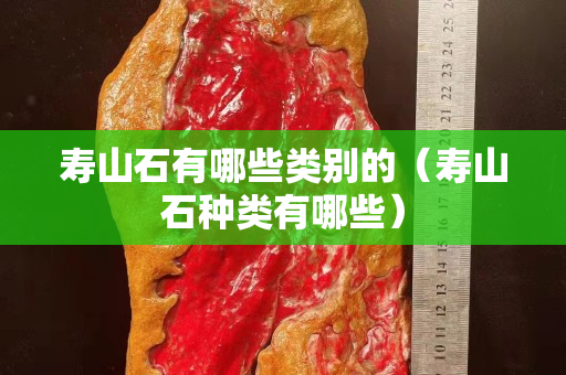 壽山石有哪些類別的（壽山石種類有哪些）